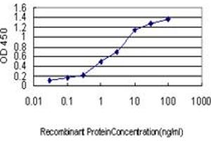 ELISA image for anti-phospholipase C, gamma 1 (PLCG1) (AA 1192-1291) antibody (ABIN562265)