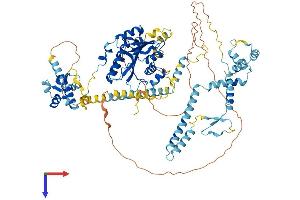 FTSJ3 Protein (AA 1-838) (His tag)