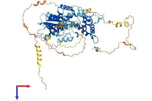 Lsg1 Protein (AA 1-644) (His tag)