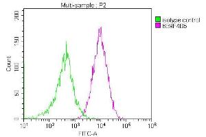 Overlay histogram showing Jurkat cells stained with ABIN7147181 (red line) at 1:200. (CD81 Antikörper)