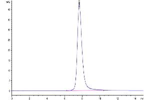The purity of SARS Spike RBD is greater than 95 % as determined by SEC-HPLC. (SARS-CoV Spike Protein (RBD) (His-Avi Tag))