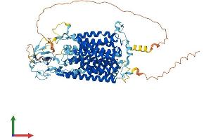 AlphaFold protein structure predicition of Human Recombinant SLCO4C1 Protein, UniprotID Q6ZQN7