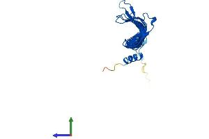 Protein Structure (PS) image for MORN Repeat Containing 3 (MORN3) (AA 1-241) protein (His tag) (ABIN7559155)