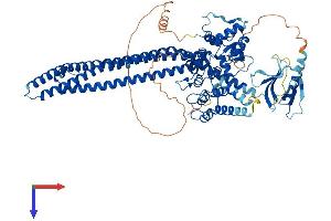 Centaurin beta 2 Protein (AA 1-770) (His tag)