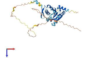 BNIP2 Protein (AA 1-314) (His tag)