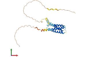 AlphaFold protein structure predicition of Human Recombinant CMTM2 Protein, UniprotID Q8TAZ6