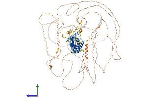 Protein Structure (PS) image for Topoisomerase I Binding, arginine/serine-Rich, E3 Ubiquitin Protein Ligase (TOPORS) (AA 1-1033) protein (His tag) (ABIN7564305)