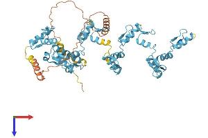 ZFP14 Protein (AA 1-533) (His tag)
