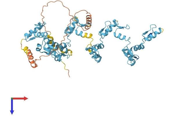 ZFP14 Protein (AA 1-533) (His tag)