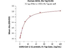 Immobilized Human ACE2, His Tag (ABIN6952618,ABIN6952641) at 2 μg/mL (100 μL/well) can bind SARS-CoV-2 S1 protein, Fc Tag (ABIN6952624,ABIN6952647) with a linear range of 0.