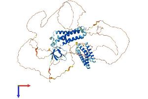 AlphaFold protein structure predicition of Human Recombinant CASS4 Protein, UniprotID Q9NQ75