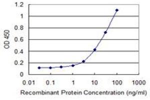 Detection limit for recombinant GST tagged PDIK1L is 0. (PDIK1L Antikörper  (AA 1-99))