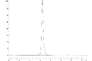 Size-exclusion chromatography-High Pressure Liquid Chromatography (SEC-HPLC) image for Fms-Related Tyrosine Kinase 4 (FLT4) (AA 25-776) protein (Fc Tag) (ABIN7275832)