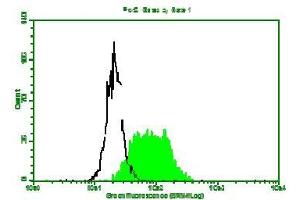 Fluorescence Flow Cytometry: Hela cells strained with Mouse anti-B2MG mAb clone D2E9 and fluorescence labelled secondary antibody. (beta-2 Microglobulin Antikörper)