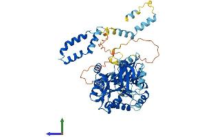 Protein Structure (PS) image for Membrane Protein, Palmitoylated 6 (MAGUK P55 Subfamily Member 6) (MPP6) (AA 1-553) protein (His tag) (ABIN7561669)