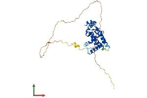 Protein Structure (PS) image for Mortality Factor 4 Like 2 (MORF4L2) (AA 1-288) protein (His tag) (ABIN7554607)
