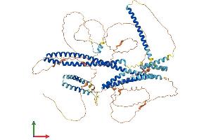 Protein Structure (PS) image for Disrupted in Schizophrenia 1 (DISC1) (AA 1-852) protein (His tag) (ABIN7564318)