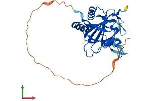 Protein Structure (PS) image for AlkB, Alkylation Repair Homolog 2 (ALKBH2) (AA 1-261) protein (His tag) (ABIN7552181)
