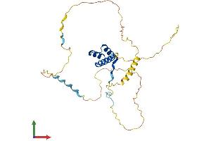 Protein Structure (PS) image for Homeobox D8 (HOXD8) (AA 1-289) protein (His tag) (ABIN7562978)