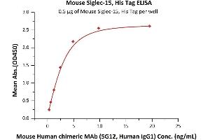 Immobilized Mouse Siglec-15, His Tag (ABIN6731346,ABIN6809872) at 5 μg/mL (100 μL/well) can bind Mouse Human chimeric MAb (5G12, Human IgG1) with a linear range of 0.
