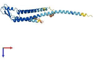 GJB6 Protein (AA 1-261) (His tag)