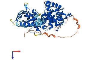 OAS1 Protein (AA 1-400) (His tag)