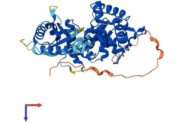 OAS1 Protein (AA 1-400) (His tag)
