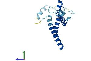Protein Structure (PS) image for Oligosaccharyltransferase Complex Subunit (OSTC) (AA 1-149) protein (His tag) (ABIN7550564)