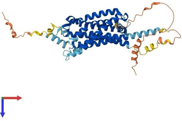 HCRTR1 Protein (AA 1-425) (His tag)