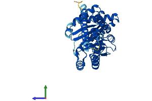 Protein Structure (PS) image for Dehydrodolichyl Diphosphate Synthase (DHDDS) (AA 1-333) protein (His tag) (ABIN7560347)