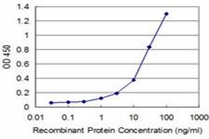 Detection limit for recombinant GST tagged ADAMDEC1 is approximately 1ng/ml as a capture antibody. (ADAMDEC1 Antikörper  (AA 361-470))