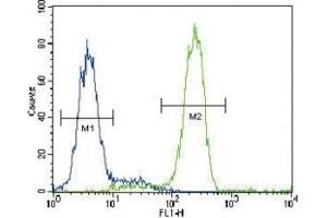 PPARG antibody flow cytometric analysis of HepG2 cells (green) compared to a negative control (blue). (PPARG Antikörper  (AA 1-30))