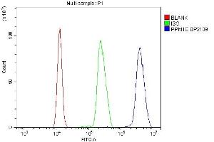 anti-Protein Phosphatase, Mg2+/Mn2+ Dependent, 1E (PPM1E) (AA 141-755) antibody