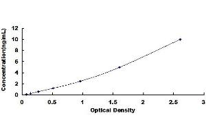 Typical standard curve (NOX1 ELISA Kit)