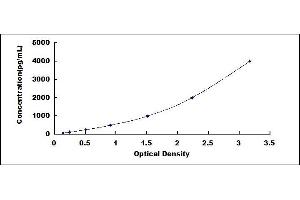 BMP7 ELISA Kit