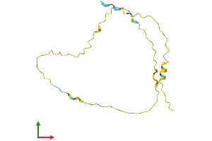 Protein Structure (PS) image for Variable Charge, X-Linked 2 (VCX2) (AA 1-139) protein (His tag) (ABIN7545067)