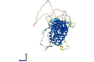 Protein Structure (PS) image for Bardet-Biedl Syndrome 12 (BBS12) (AA 1-710) protein (His tag) (ABIN7552574)