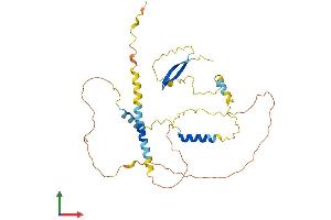 Protein Structure (PS) image for Lymphocyte-Specific Protein 1 (LSP1) (AA 1-330) protein (His tag) (ABIN7562943)