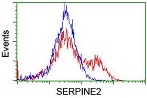 Flow Cytometry (FACS) image for anti-serpin Peptidase Inhibitor, Clade E (Nexin, Plasminogen Activator Inhibitor Type 1), Member 2 (SERPINE2) antibody (ABIN2731830)