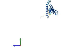 Protein Structure (PS) image for C1D Nuclear Receptor Corepressor (C1D) (AA 1-141) protein (His tag) (ABIN7562326)