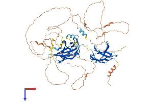 NFATC1 Protein (AA 1-717) (His tag)