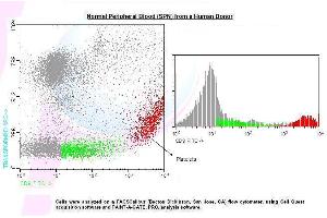 Image no. 1 for anti-CD9 (CD9) antibody (FITC) (ABIN1112243) (CD9 Antikörper  (FITC))