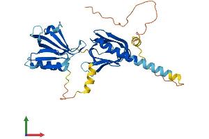 Protein Structure (PS) image for Docking Protein 5 (DOK5) (AA 1-306) protein (His tag) (ABIN7560152)