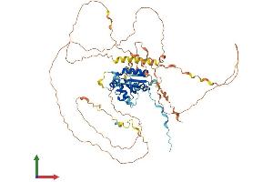 Protein Structure (PS) image for TRAF3 Interacting Protein 2 (TRAF3IP2) (AA 1-574) protein (His tag) (ABIN7546580)
