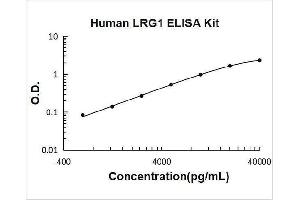 Typical Standard Curve