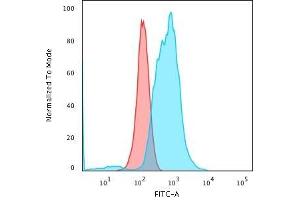 Flow Cytometric Analysis of PFA-fixed K562 cells using Calponin-1 Recombinant Mouse Monoclonal Antibody (rCNN1/832) followed by Goat anti-Mouse IgG-CF488 (Blue); Isotype Control (Red). (Rekombinanter CNN1 Antikörper)