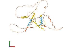 AlphaFold protein structure predicition of Human Recombinant SPATA32 Protein, UniprotID Q96LK8