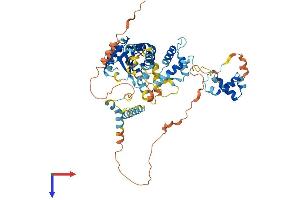 POGK Protein (AA 1-609) (His tag)