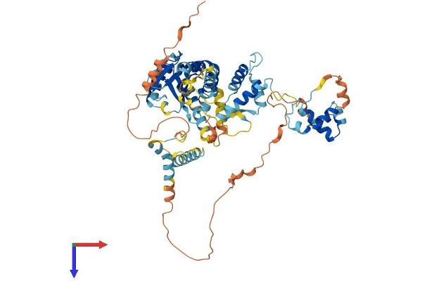 POGK Protein (AA 1-609) (His tag)