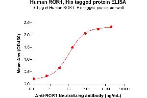 ELISA image for Receptor Tyrosine Kinase-Like Orphan Receptor 1 (ROR1) (AA 30-403) protein (His tag) (ABIN6964103)